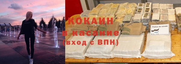шишки Аркадак