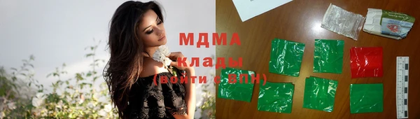 шишки Аркадак