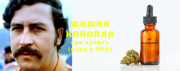 шишки Аркадак