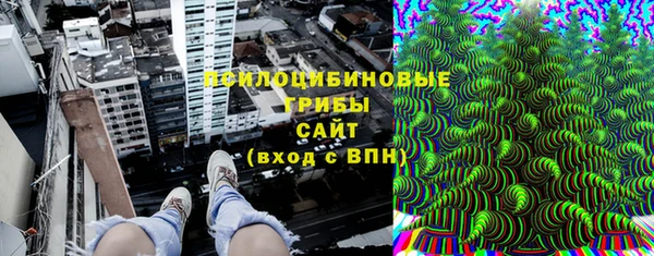 шишки Аркадак